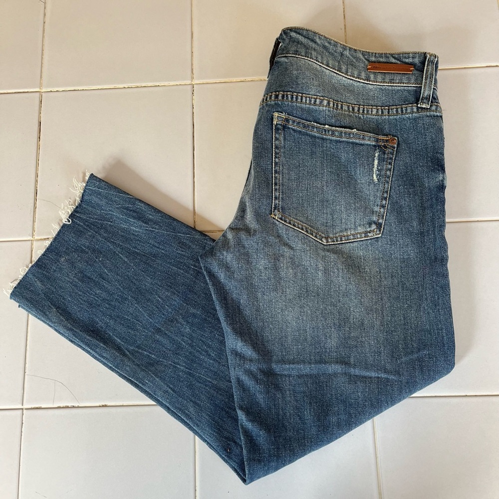 Pilcro and the Letterpress by Anthropologie Slim Boyfriend Jeans in Size 27